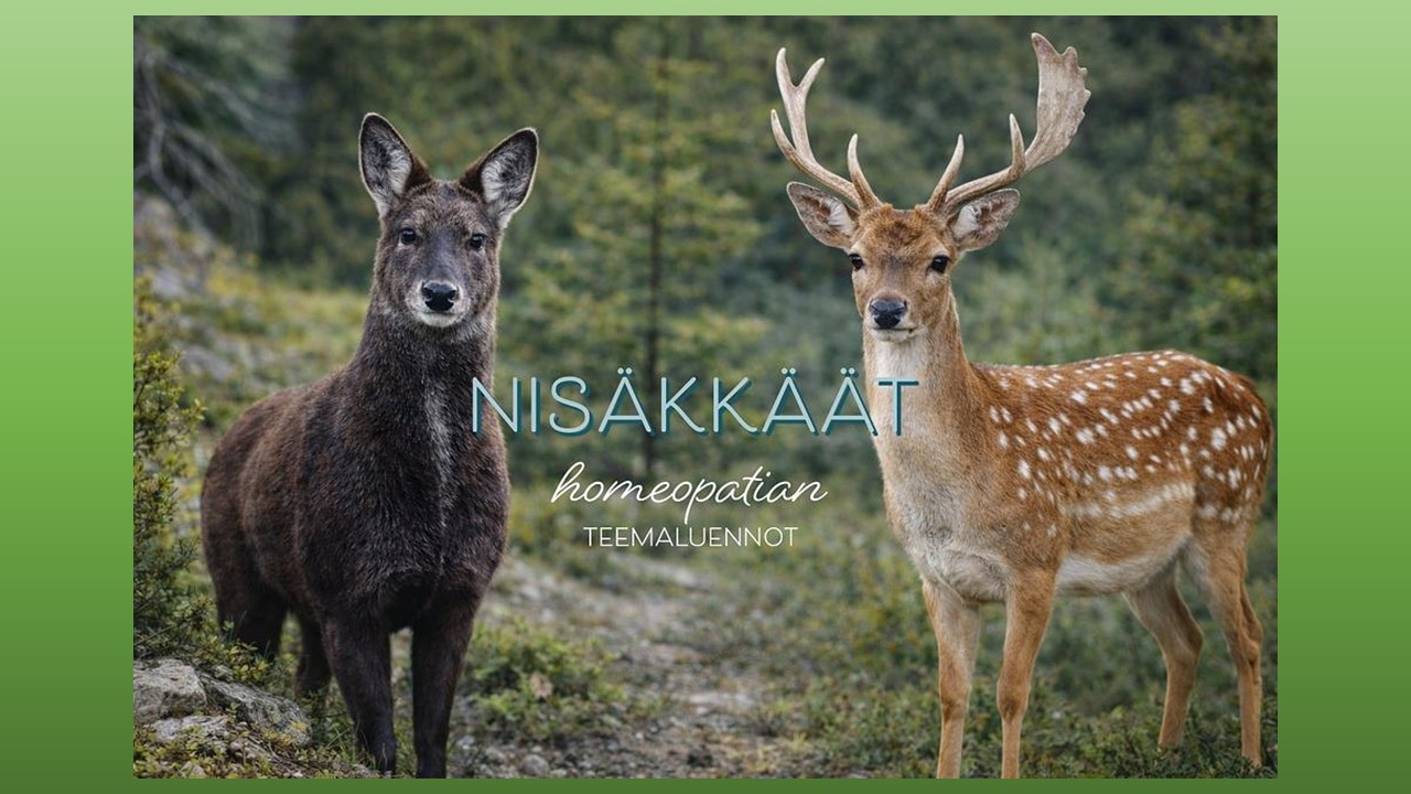 Nisäkkäät, millainen on tämä teema homeopatiassa? Klikkaa kuvaa ja tutustu kurssin sisältöön