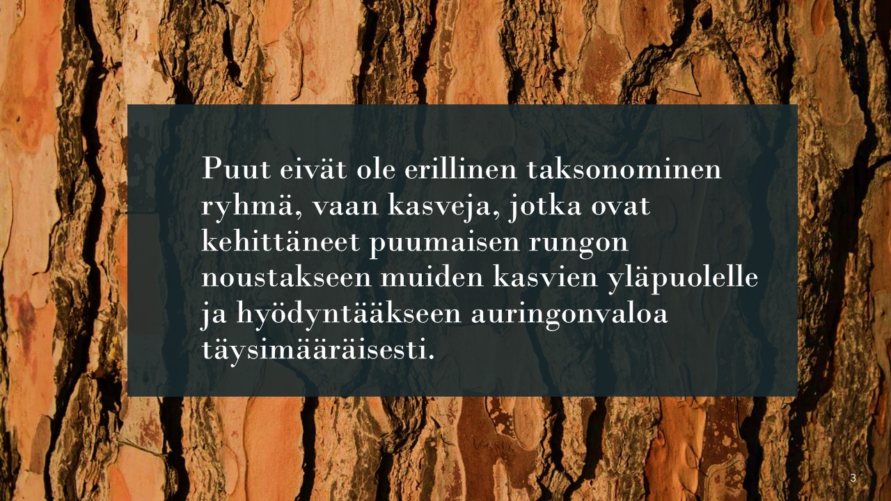 Puut-teema ajattelussa? Millaisia lääkeaineita meillä onkaan puuteemassa?